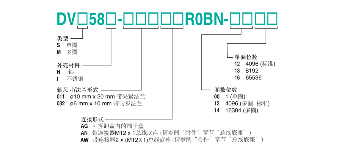 DVM58N-011AGR0BN-1213